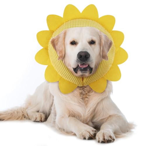 Inflatable Recovery Dog Collar (Sunflower / Medium (Neck:8''-10''))