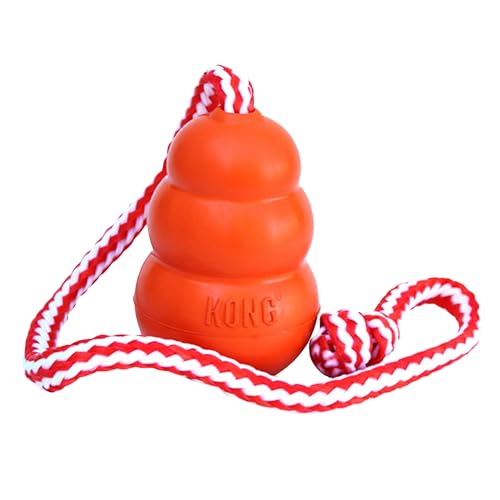 Aqua Floating Fetch Toy (Medium (Pack of 1))