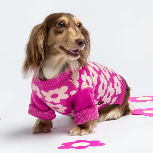 Floral Dog Sweater (Medium / Flower)