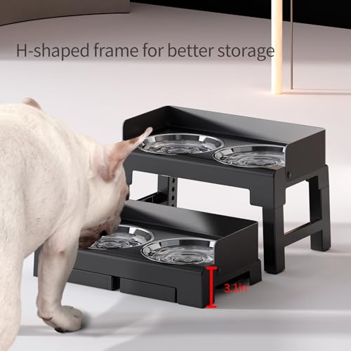 Elevated Dog Bowls for Medium and Large Dogs (2 Stainless Steel Bowls / Black)
