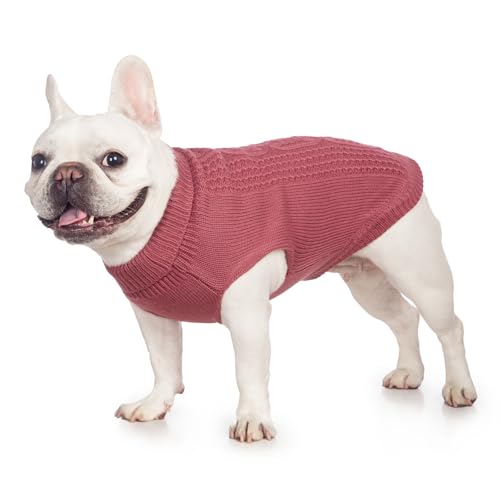 Cat Sweater Stretchy (Maple Leaf Red / XXL)