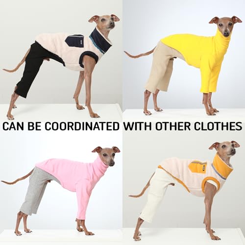 D Doggy Star Italian Greyhound Clothes High (3XL / COORDI BLACK)