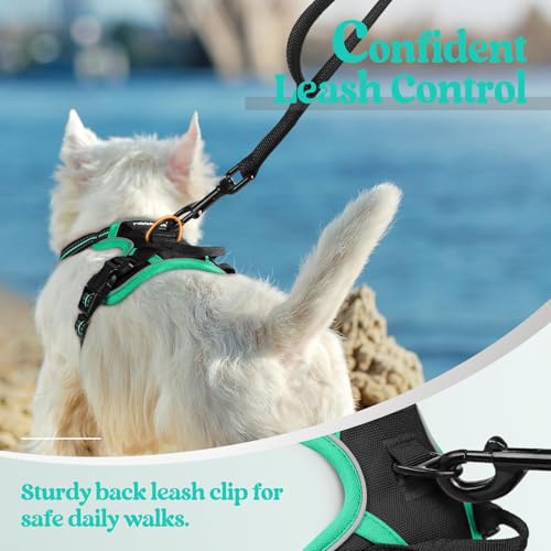 Dog Harness No Pull for Small Dogs with 2 Leash Clips (X-Small / Black & Turquoise)