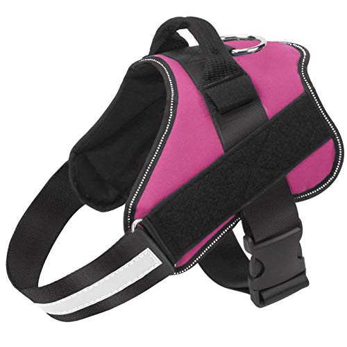 Dog Harness No (X-Small (Pack of 1) / Rose red)