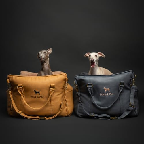 Small Dog Car Seat for Small Medium Pets with Harness Clip (Charcoal / Medium)