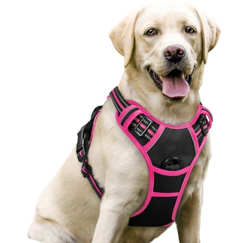 Dog Harness No Pull for Large Dogs with 2 Leash Clips (Large / Black & Hot Pink)