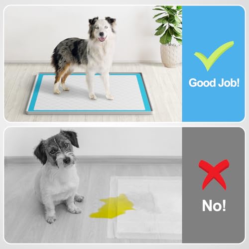 Pee Pad Holder for Dogs (24" x 24" / Light Grey)