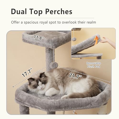 64.2" Heavy Duty Cat Tree for Large Cats with Wide Base HCT027W (64.2 inch / Light Gray)