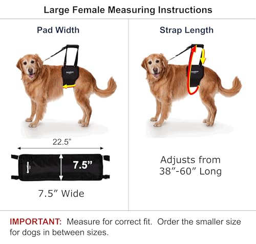 Dog Support Sling Rear Harness (Large - Female)