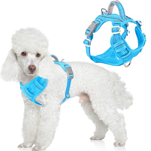 No Pull Dog Harness for Small Sized Dogs (X-Small(Chest:15.5-19.5”) / Blue)