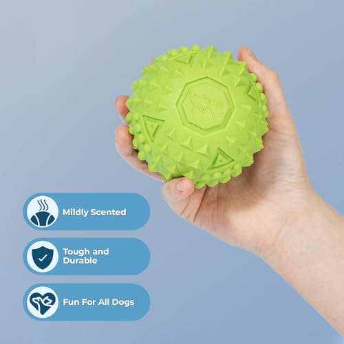 Squeaky Dog Toys with Soft Durable Fabric for Small (Fuchsia, Green / Large)