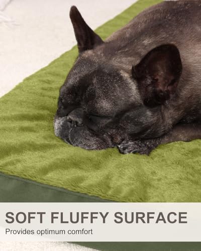 Orthopedic Dog Bed for Medium Dogs with Waterproof Lining (Green / 29.0"L x 18.0"W x 3.0"Th)