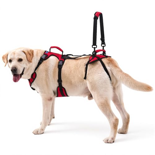 Dog Lift Harness for Large Dogs (Red / Large)