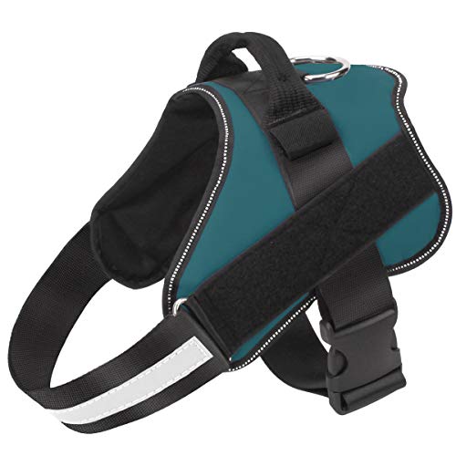Dog Harness No (Medium (Pack of 1) / Turquoise)