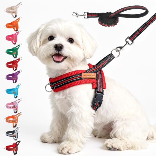 Small Dog Harness and Leash Set (Red & Black / S: Chest 17.5"-22")