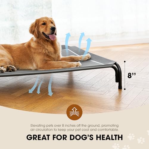 Outdoor Elevated Dog Bed for Large Sized Dogs (XL(48.80"x35.80"x8.00) / Grey)