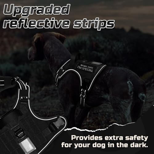 Tactical Dog Harness for Large (Black / Large)