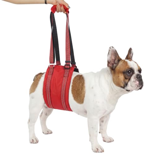 Dog Lift Harness (Red / S)