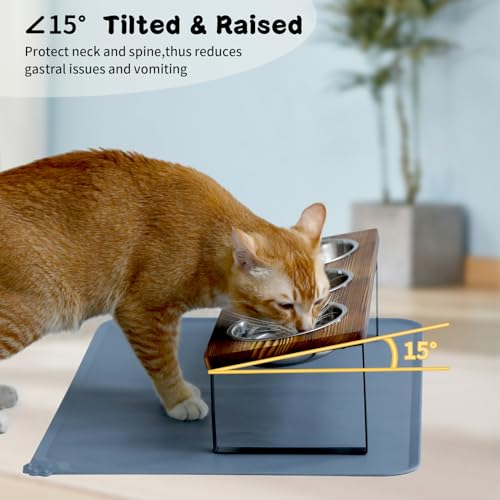Upgraded Elevated Cat Bowls with Food Mat
