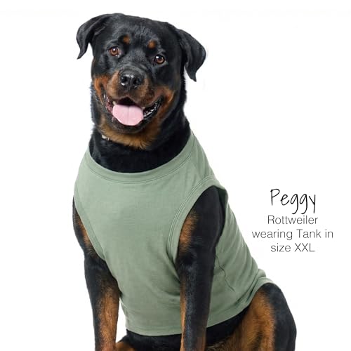 Tank Dog T Shirt (Large / Sage Ombre)