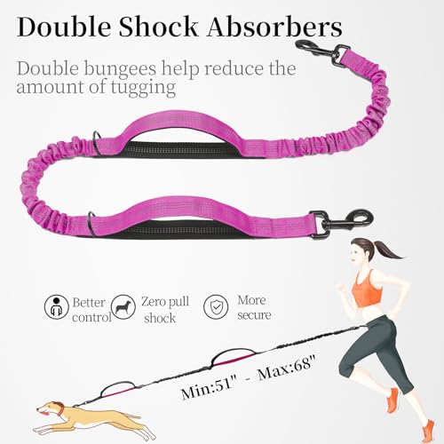 Hands Free Dog Leash with Zipper Pouch (Very Berry / Large)