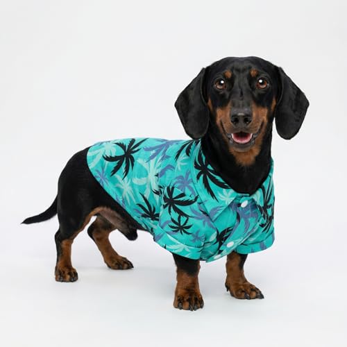 Hawaiian Coconut Palm Dog Shirt (Small / Coconut Palm)