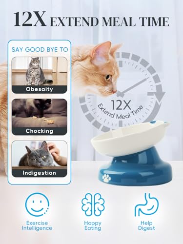 Ceramic Slow Feeder Cat Bowl (Blue)