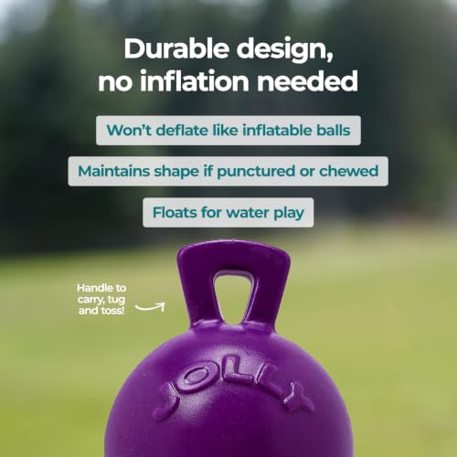 Tug-n-Toss Heavy Duty Dog Toy Ball with Handle, 8 Inches/Large, Purple (Purple / Large (8 in))