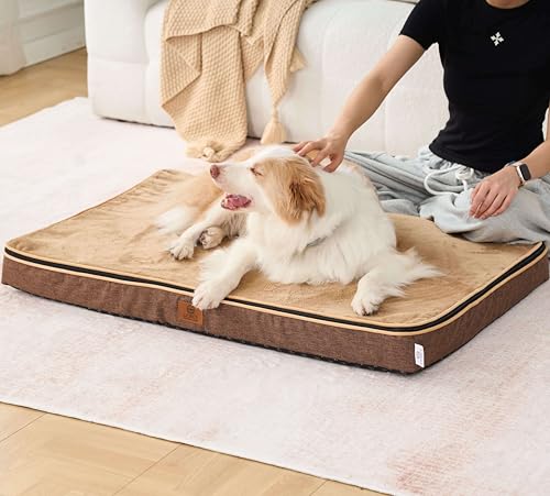Memory Foam XL Dog Bed (41.0"L x 27.0"W x 4.0"Th / Light Brown)
