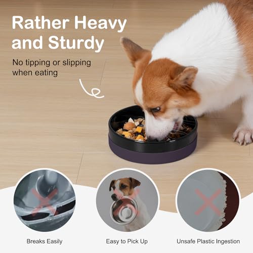 Ceramic Slow Feeder Dog Bowls with Silicone Base (Medium-8 inches / Black)