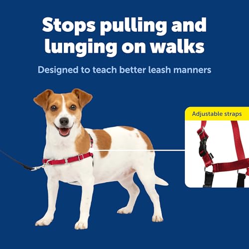 Easy Walk Harness (Small / Red/Black)