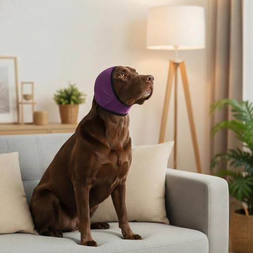 No Flap Ear Wraps for Dogs (Purple / L)