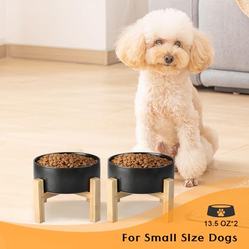 Ceramic Elevated Dog Bowls 2 Pack (Small - 1.7 CUPS*2 / Black)
