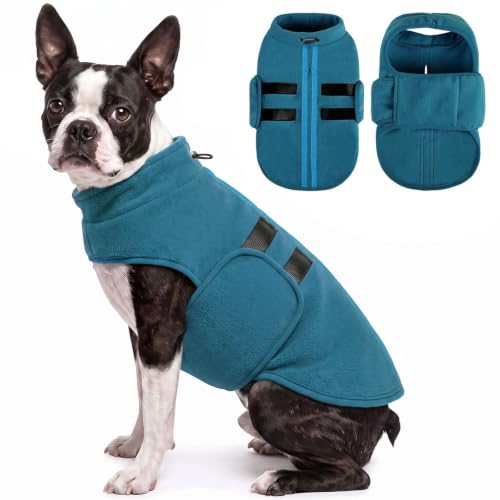 Large Dog Sweater (Peacock-Blue / Large)