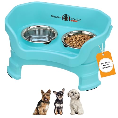 Neater Feeder Deluxe Mess (Small + Standard Bowl / Aquamarine)