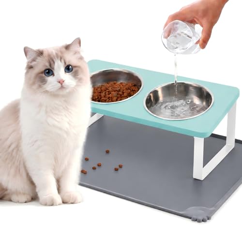 Upgraded Elevated Cat Bowls with Food Mat