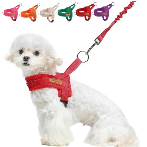 Small Dog Harness and Leash Set (Red / S: Chest 17.5"-22")