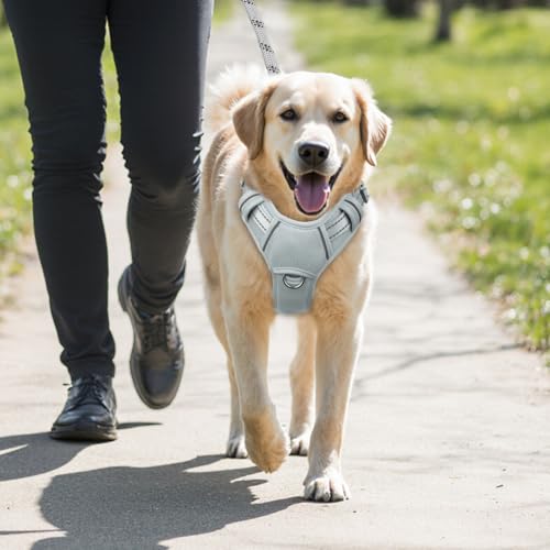 Dog Harness for Medium Sized Dog No Pull Dog Vest ID Tag Pocket (Grey / Medium)