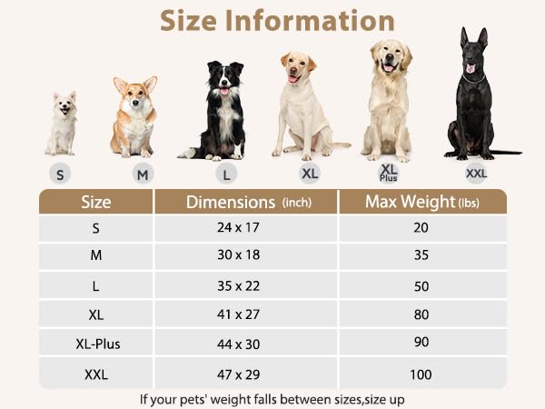 Orthopedic Dog Bed for Small Dogs (S(23"x17") / Beige)