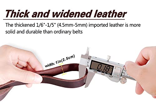 Leather Dog Leash (6 ft x 1 inch / Brown)