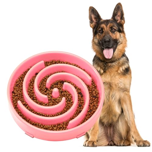 Slow Feeder Dogs Bowl for Large Medium Dogs (Large / D-Pink)