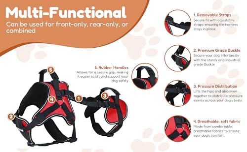 Multi Functional Full (Girth 28-39" / Red)