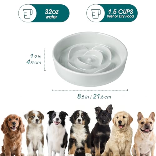 Slow Feeder Dog Bowl (M - 1.5 Cups / Grayish Cyan)