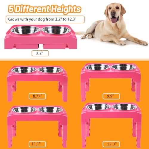 Elevated Dog Bowls with 2 Stainless Steel Food & Water Raised Bowls with No Spill Edge Non (M (8" for M/L Dogs) / Pink)