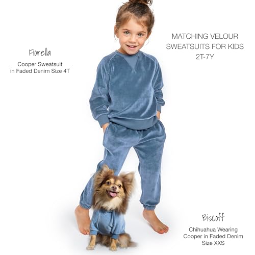 Cooper II Dog Hoodie (Faded Denim / XX-Small (4-7 lbs))
