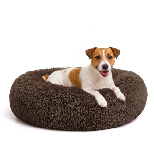 Orthopedic Dog Bed Comfortable Donut Cuddler Round Pet Beds Ultra Soft Washable Dog and Cat Cushion (S-PLUS(27''x 27'') / Chocolate)
