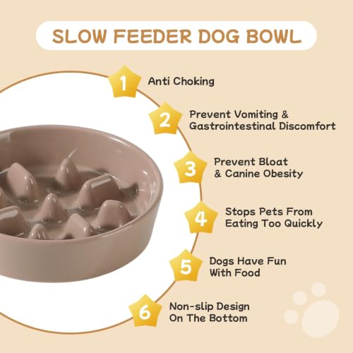 Elevated Slow Feeder Dog Bowls (Brown Coffee)