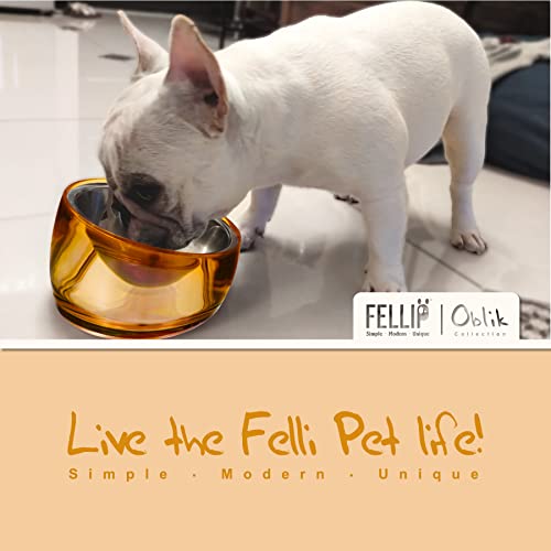 Pet Oblik Acrylic Raised Dog Food Water Bowl Stainless Steel Slanted Oval Dish for Short Leg Puppy & Small Medium Pet (Gold / 1.5 Cups Oval Dish)