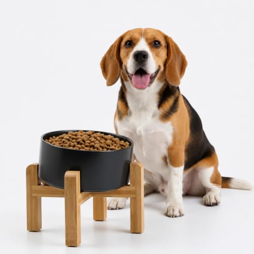 Black Elevated (Black / 3.6 CUPS - Medium Dog Bowls)