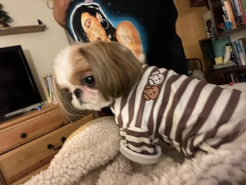 Turtleneck Dog Shirt Cute Doggie Embroidery Super Soft Dog Sweatshirt Stretchy Striped Puppy Pullover for Cats Small Medium Large Dogs (Brown Striped / X-Small)